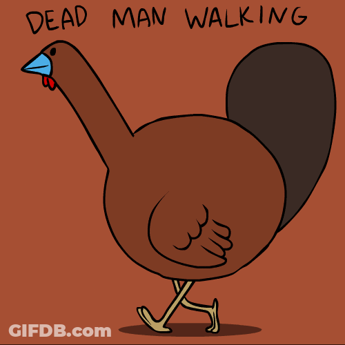 Thanksgiving Funny Fox Animation Art GIF