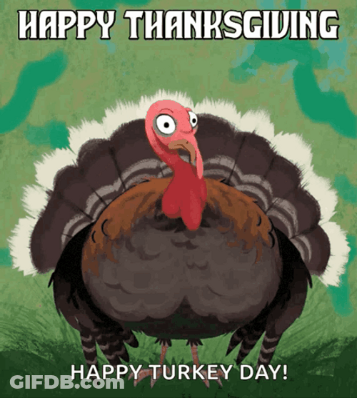 Thanksgiving Funny Happy Turkey Day GIF