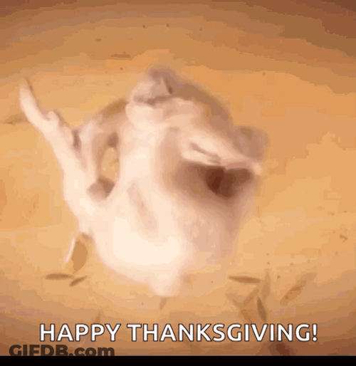 Thanksgiving Funny Turkey Twerky Booty GIF