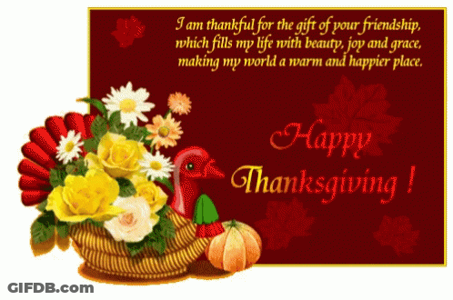 Thanksgiving Greeting Card Turkey Flowers GIF