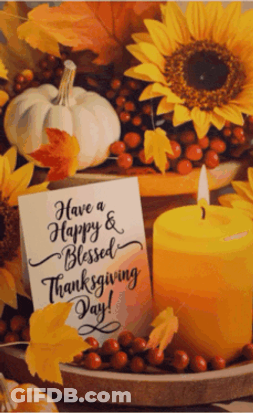 Thanksgiving Happy Thanksgiving GIF