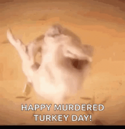Thanksgiving Murdered Turkey Meme GIF