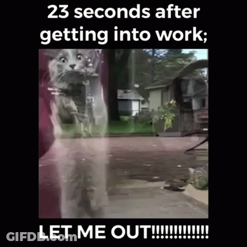 Thanksgiving Purple Shirt Man With Eating Pants GIF