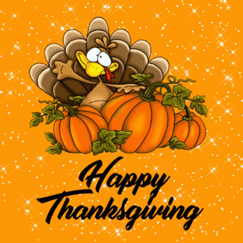 Thanksgiving Turkey In Pumpkin GIF