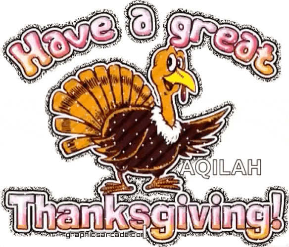 Thanksgiving Turkeyday GIF