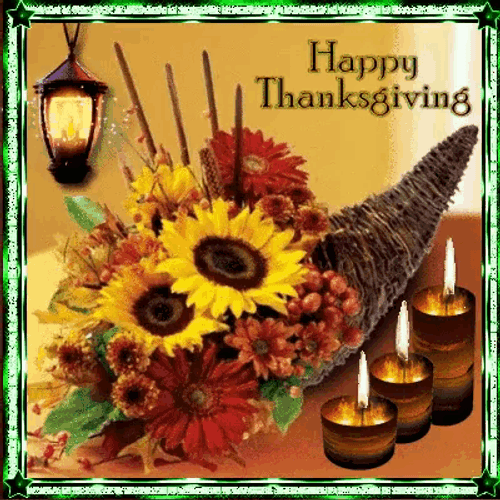 Thanksgiving Week GIF