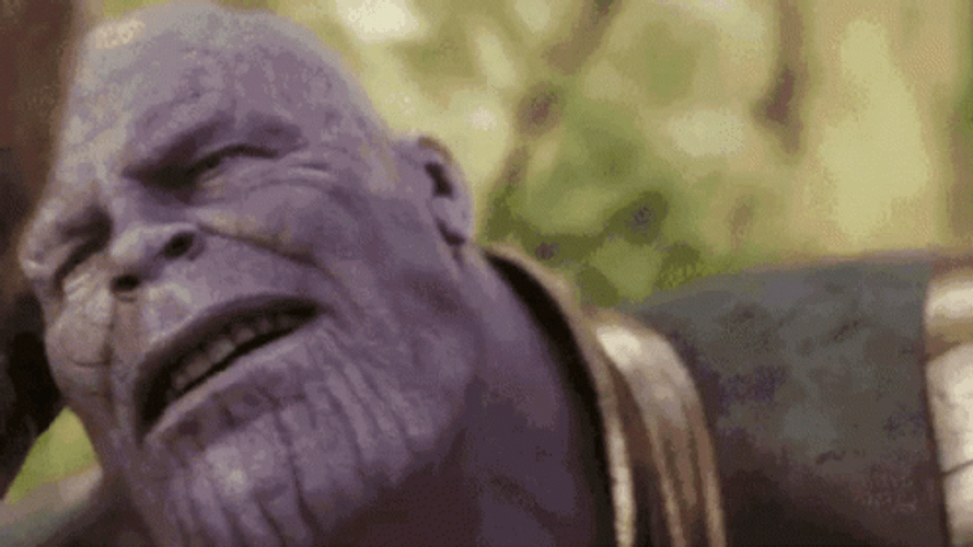 Thanos I Am Inevitable Thor Interaction GIF