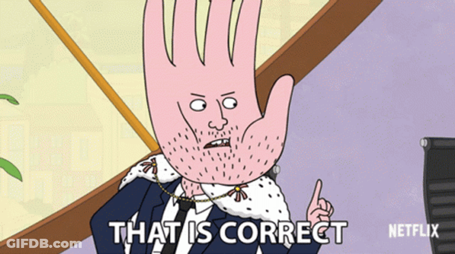 That Is Correct Bojack Horseman Todd Chavez GIF