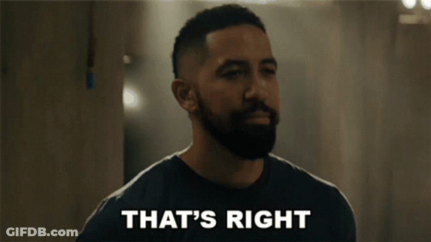 That Is Correct Seal Team Ray Perry GIF