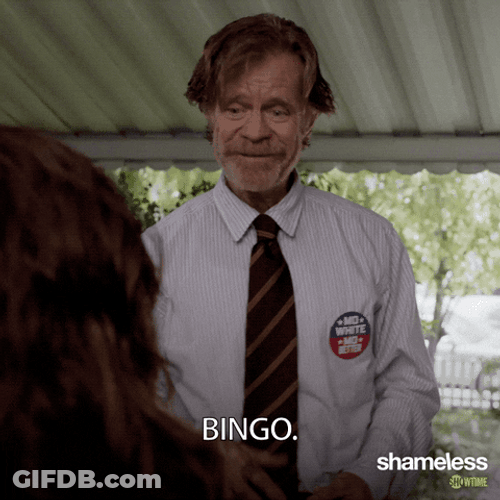 That's A Bingo Shameless Frank Gallagher GIF