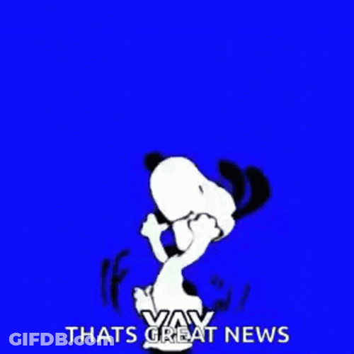 That's A Fantastic Great News GIF