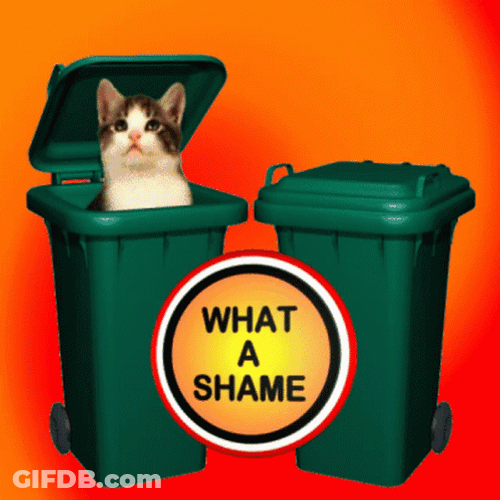 That's A Shame Cat In The Trash Bin GIF