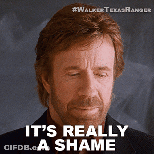 That's A Shame Chuck Norris GIF