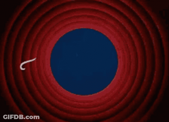 That's All Folks Its Over GIF