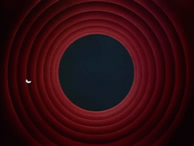 That's All Folks Sayings GIF