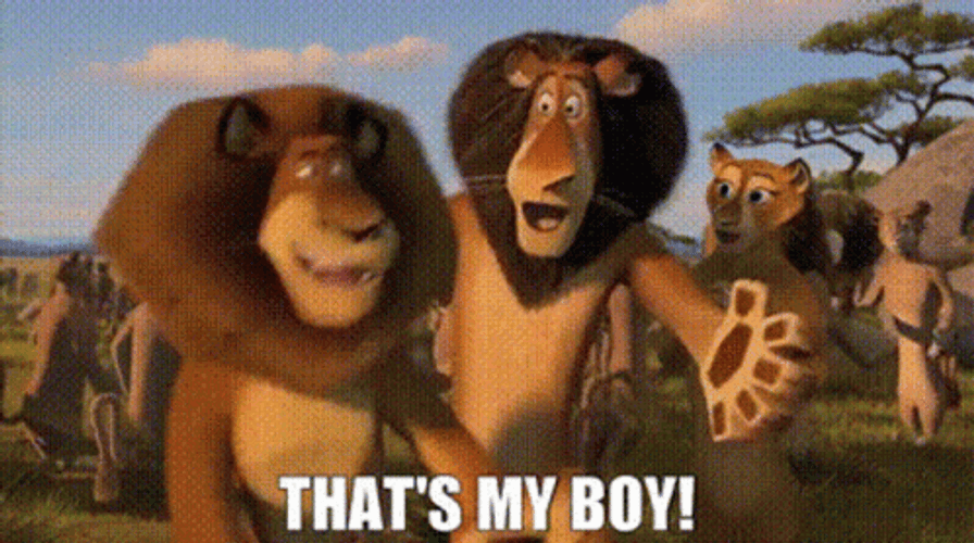 That's My Boy Alex The Lion GIF