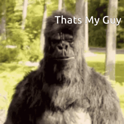 That's My Boy Human Monkey Costume GIF