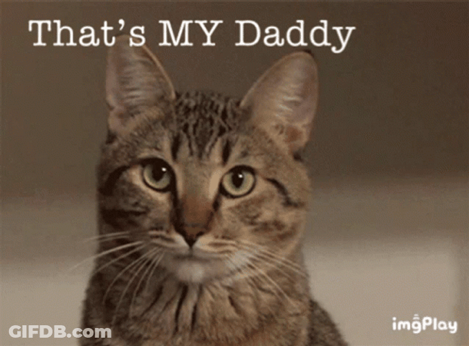 That's My Dad Cat GIF