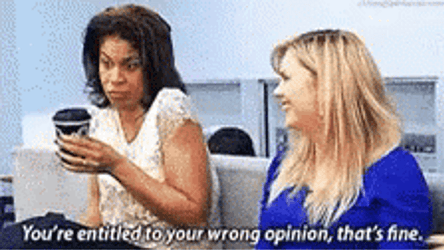 That's My Opinion Entitled GIF
