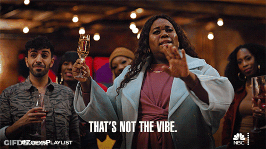 That's Not The Vibe GIF