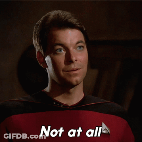 That's Not Too Damn Bad At All GIF