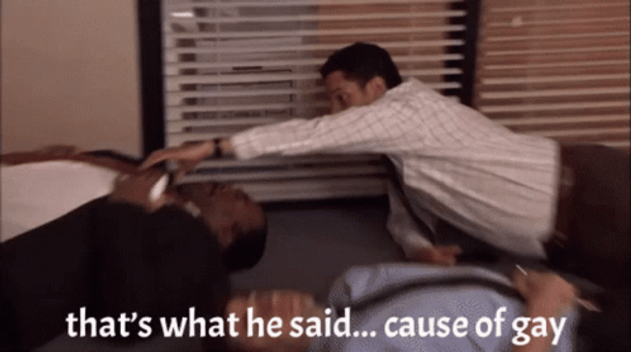 That's What He Said Cause Of Gay GIF