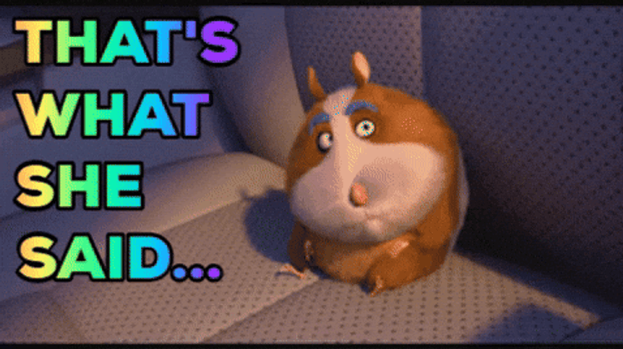 That's What She Said Cartoon Hamster GIF
