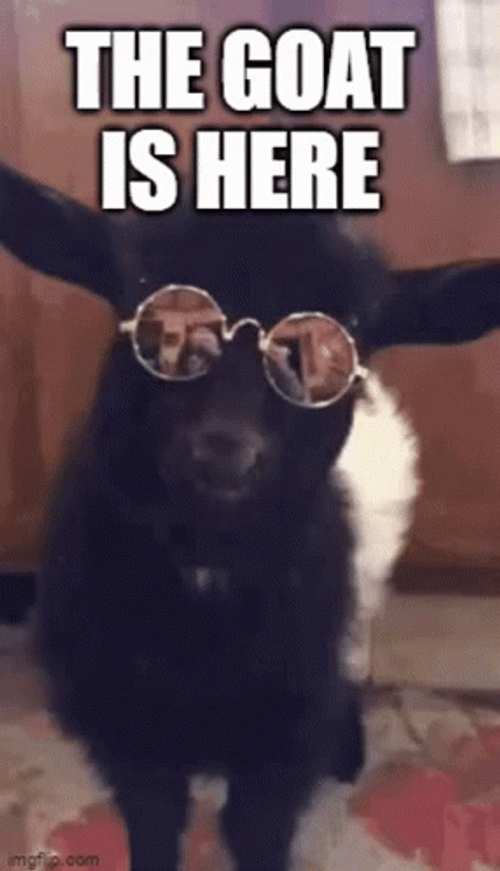 That's Why He's The Blinged Goat Meme GIF