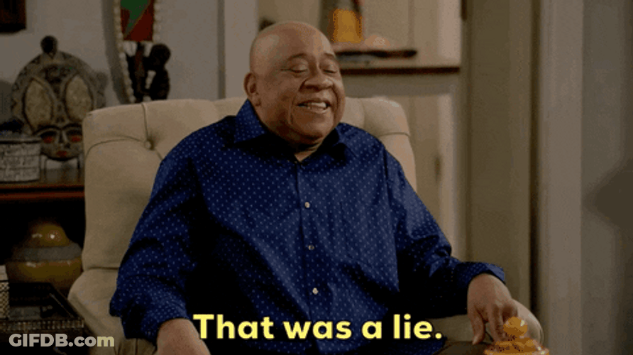 That Was A Lie GIF