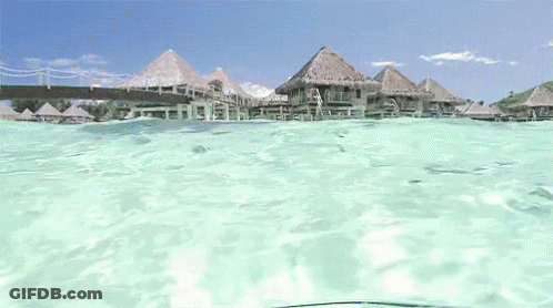 Thatched Huts On Dock In Ocean GIF