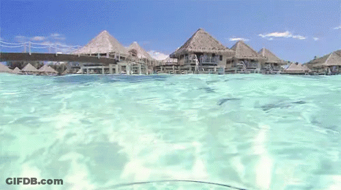 Thatched Roof Houses By Water GIF