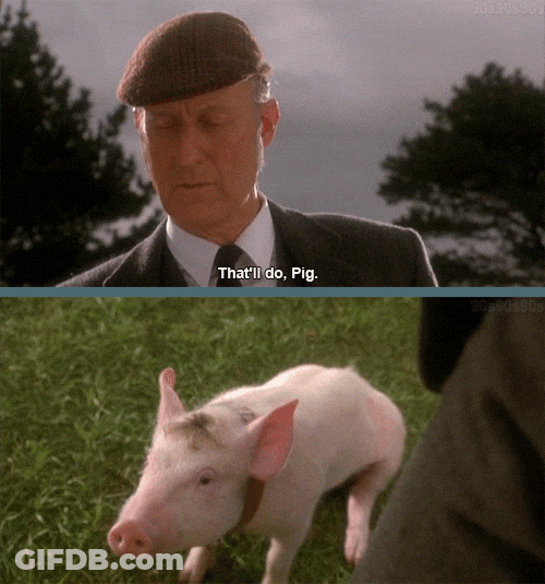 Thatll Do Pig Babe GIF