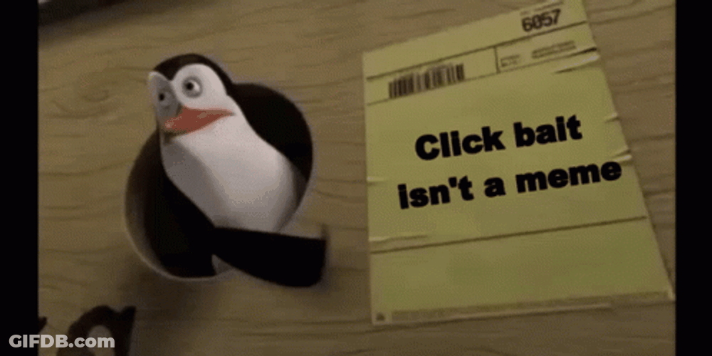 Thats Bait Frantic Penguin Pointing GIF
