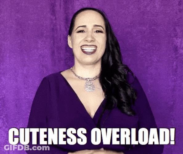 Thats Cute Cuteness Overload GIF