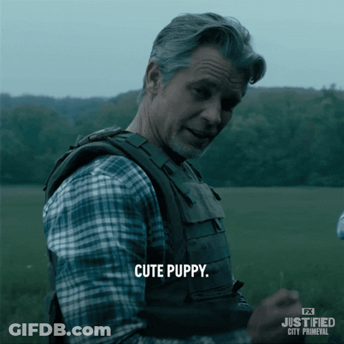 Thats Cute Puppy Justified Scene GIF