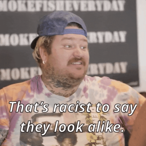 Thats Racist Say They Look Alike GIF