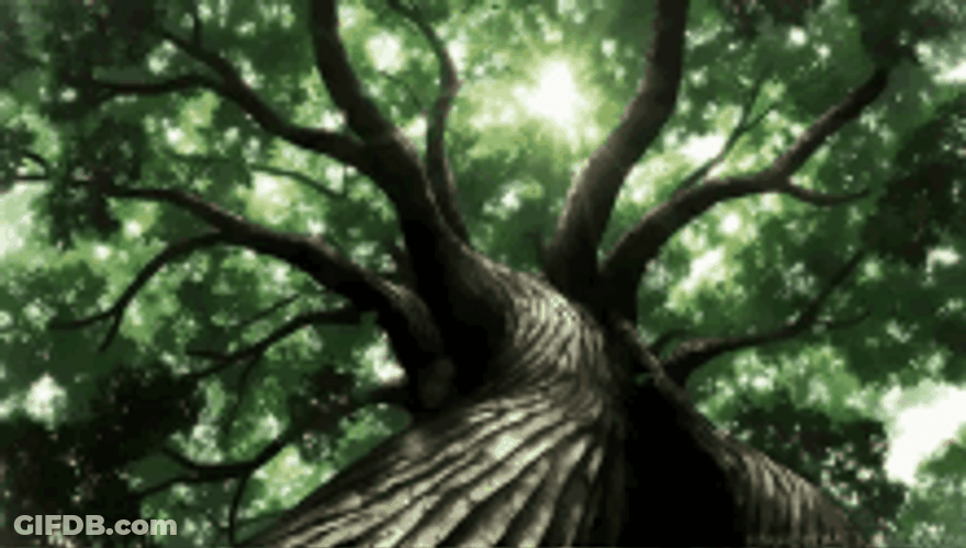 The Ancient Magus' Bride Big Tree GIF