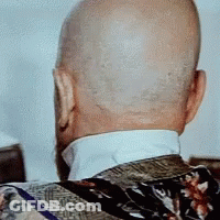 The Back Of A Bald Man 'S Head With A Floral Jacket On GIF