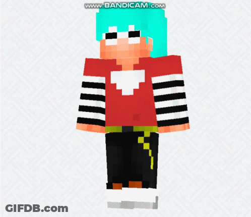 The Back Of A Minecraft Character Is Shown With The Website Bandicam.com At The Bottom GIF