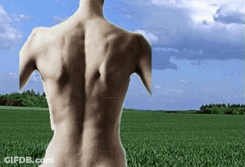 The Back Of A Naked Man Standing In A Field GIF
