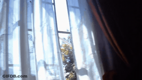 The Bansirlememe - Schlachtkhofborlonx Ft, Tendisrlelememeir GIF