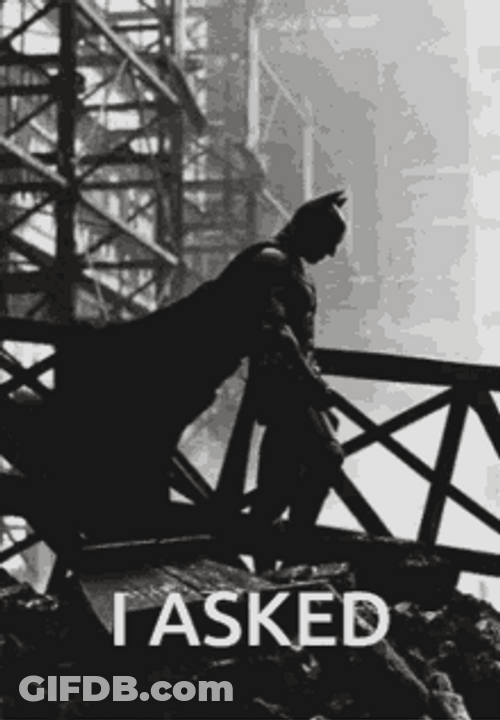 The Batman Standing I Asked Meme GIF