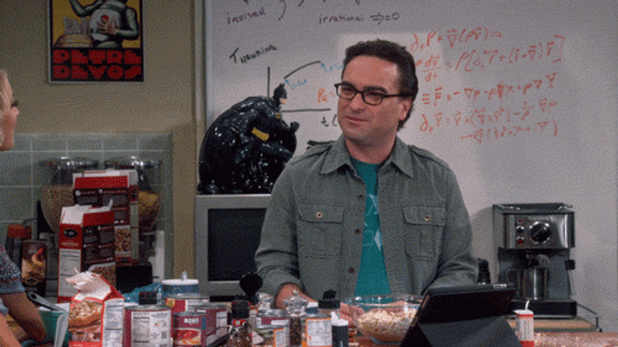 The Big Bang Theory Leonard Hofstadter What GIF