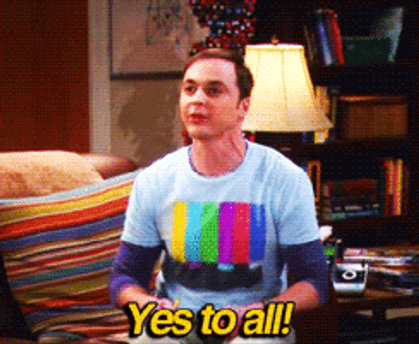 The Big Bang Theory Sheldon Yes To All GIF