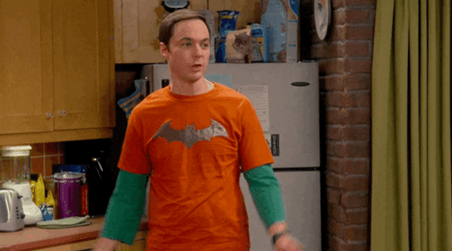 The Big Bang Theory You Were Right GIF