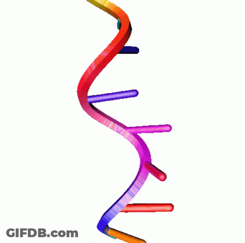 The Biology Of Deoxyribonucleic Acid GIF