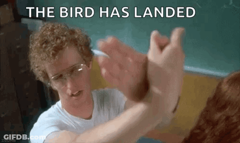 The Bird Has Landed GIF