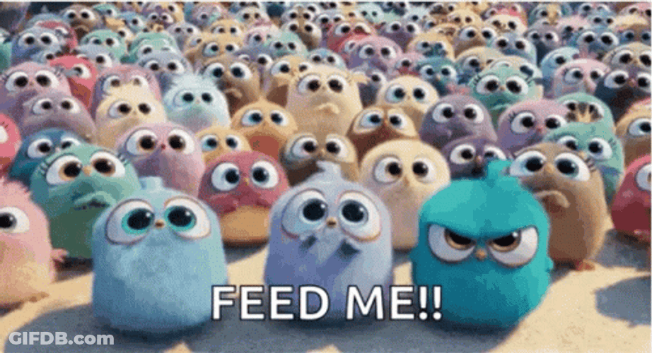 The Birds Angry Birds Feed Me GIF