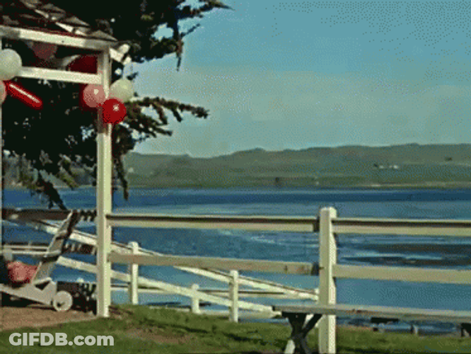 The Birds Attacking Birthday Party GIF