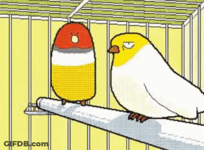 The Birds Bouncing GIF